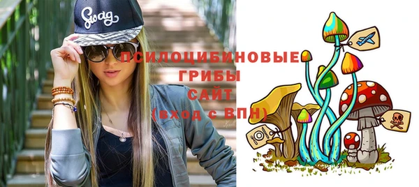 гидропоника Белая Холуница