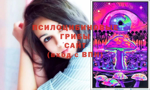 эйфоретик Магас