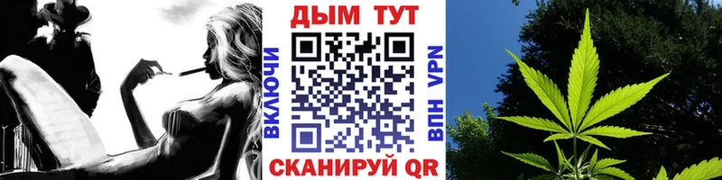 Купить закладки Николаевск-на-Амуре Бошки марихуана Ganja